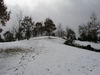 20080117_006