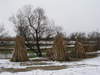 20080117_049