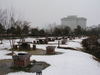 20080117_054_4