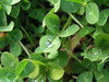 20080204_068
