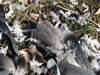 20080204_116