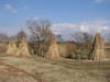 20080204_135