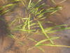 20080204_150