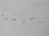 20080209_018_3