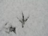 20080209_021_3
