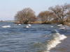 20080210_121