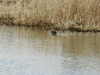 20080217_004