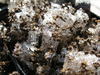 20080217_005