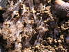 20080217_007