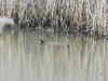 20080217_008