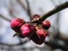 20080217_018_2