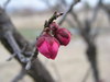 20080217_020