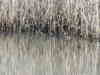 20080217_020_2