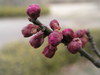 20080217_022