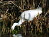20080217_052
