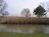 20080222_039