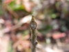 20080222_055