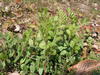 20080222_104