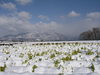 20080225_001