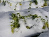 20080225_003