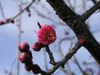 20080225_023