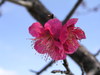 20080225_024