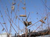 20080225_129