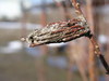 20080225_130