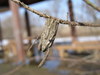 20080225_131