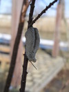 20080225_132