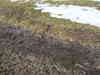 20080225_137