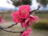 20080304_002