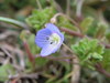 20080304_005