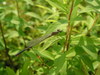 20070508_003