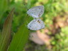 20070508_099