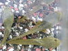 P5230909