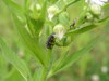 P5250928