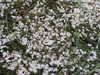 P5250922