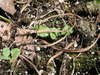 P6301891