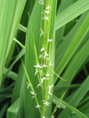 P7031913