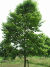 P7092111