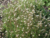 P2280489