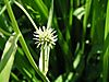 P6050161