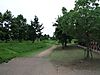 P7070862